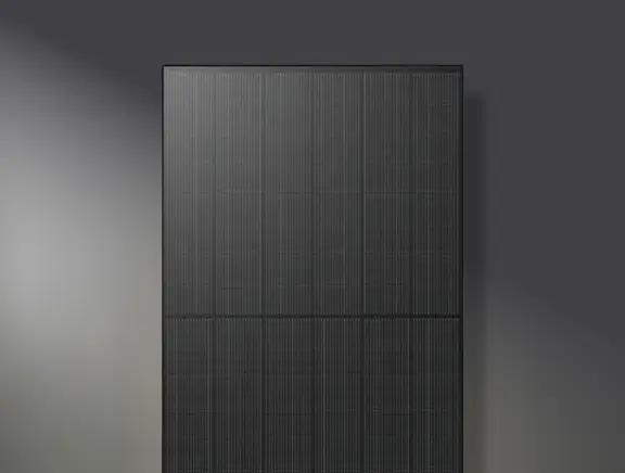Close-up architectural view of a premium black Longi monocrystalline solar panel module.