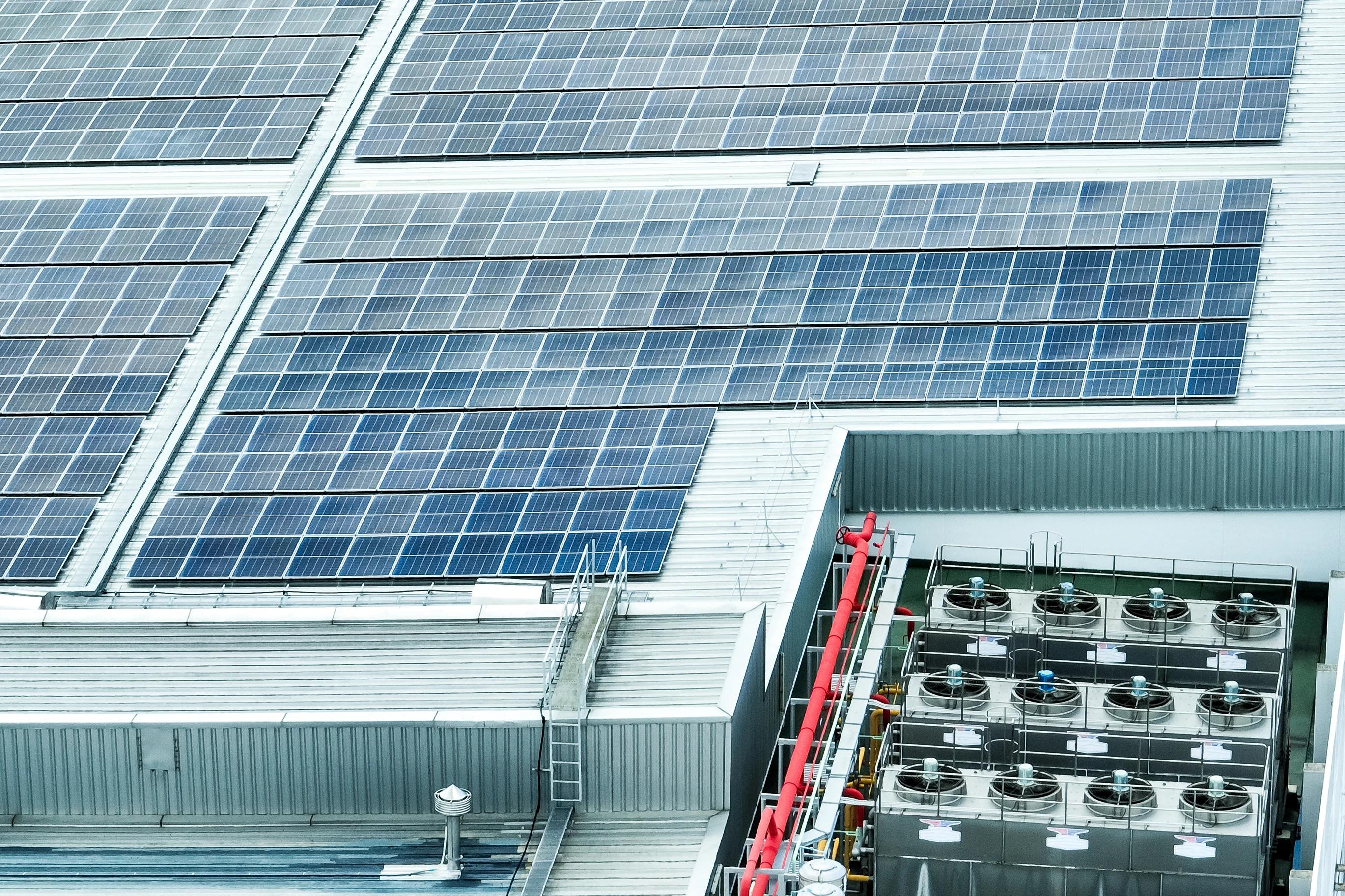 solar panels relaxing in the mist